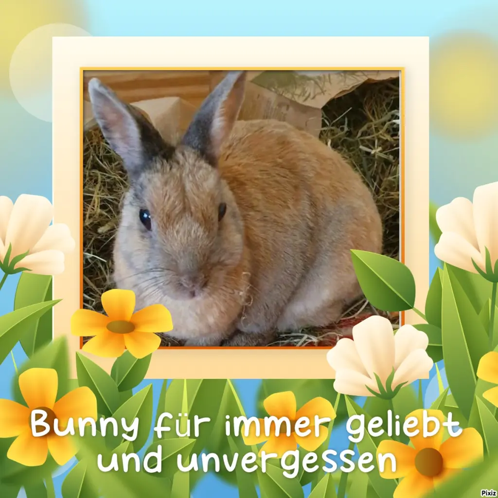 Condolence image of Tanja mit Timmy im Herzen