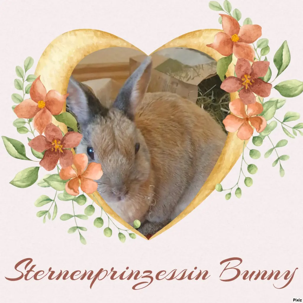 Condolence image of Tanja mit Timmy im Herzen