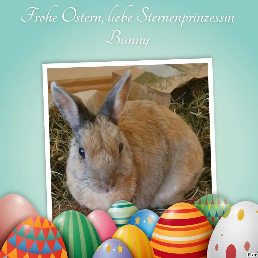 Condolence image of Tanja mit Timmy im Herzen 