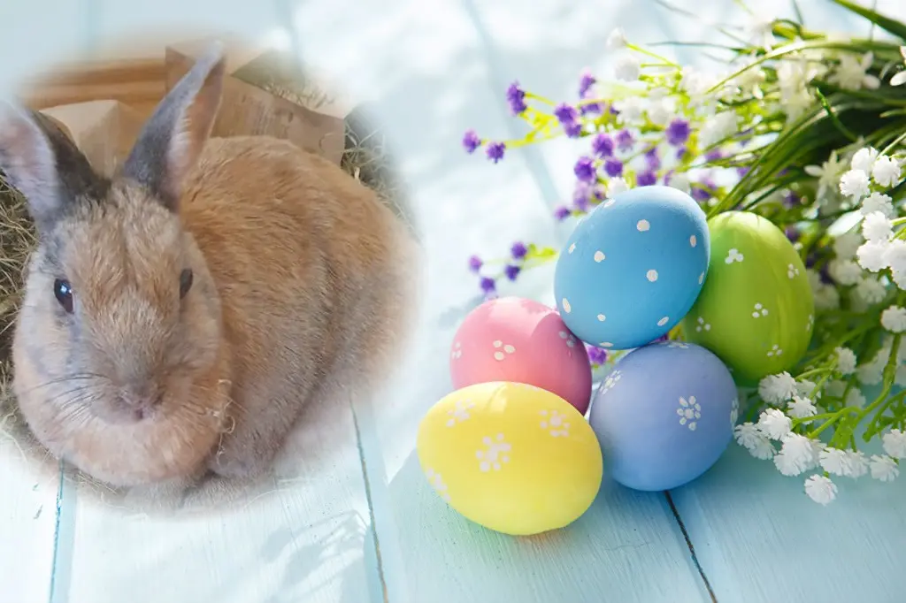 Condolence image of Frohe❤️❤️❤️Ostern❤️