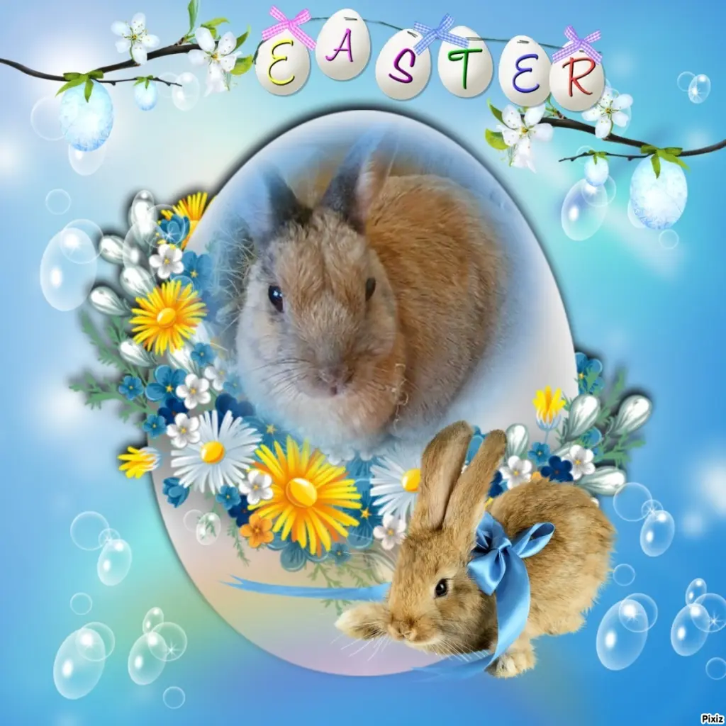 Condolence image of Tanja mit Timmy im Herzen