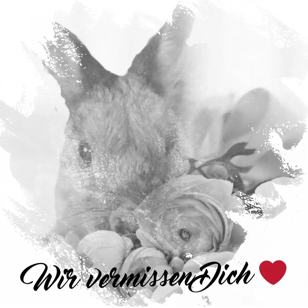 Condolence image of ❤️❤️❤️