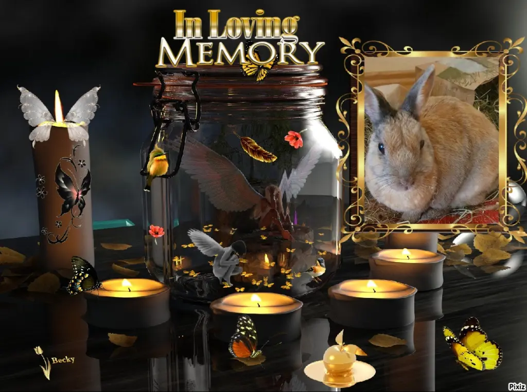 Condolence image of Tanja mit Timmy im Herzen