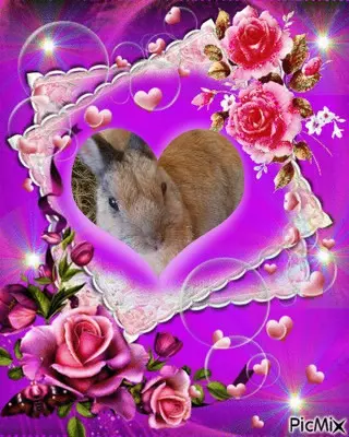 Condolence image of Andrea mit Minki im ♥️