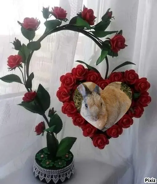 Condolence image of Post von Timmys Mutti Tanja an Sternenprinzessin Bunny und Mami Patricia