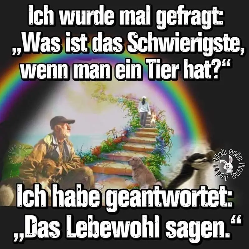 Condolence image of Ich sage Danke