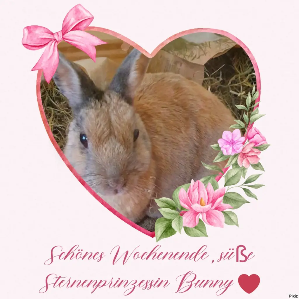 Condolence image of Tanja mit Timmy im Herzen 