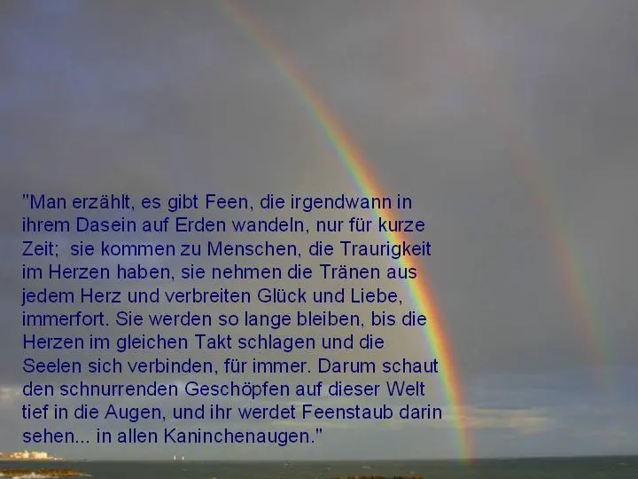 Condolence image of Katrin mit Katzi im ❤️