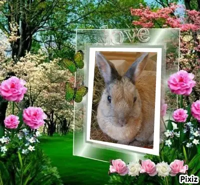 Condolence image of Tanja mit Timmy im Herzen
