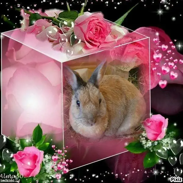 Condolence image of Tanja mit Timmy im Herzen