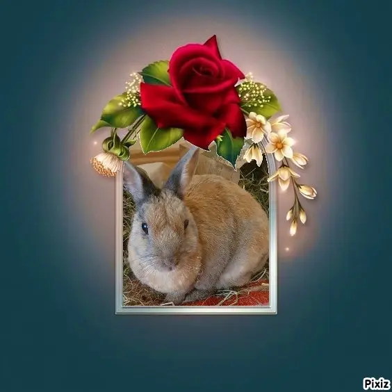 Condolence image of Tanja mit Timmy im Herzen