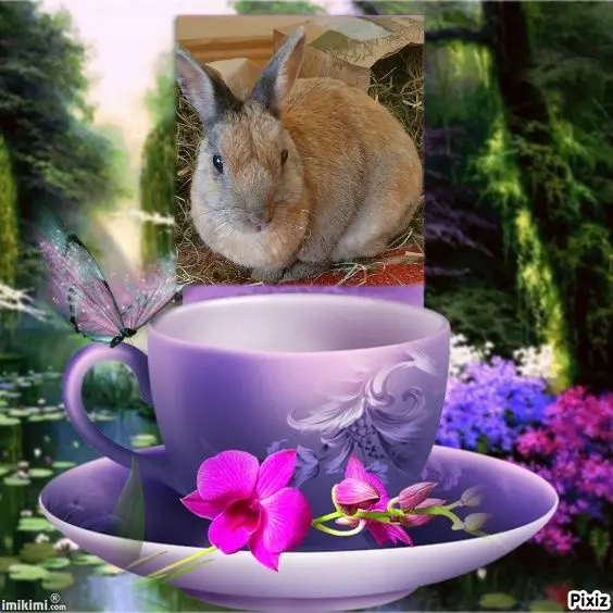 Condolence image of Tanja mit Timmy im Herzen 