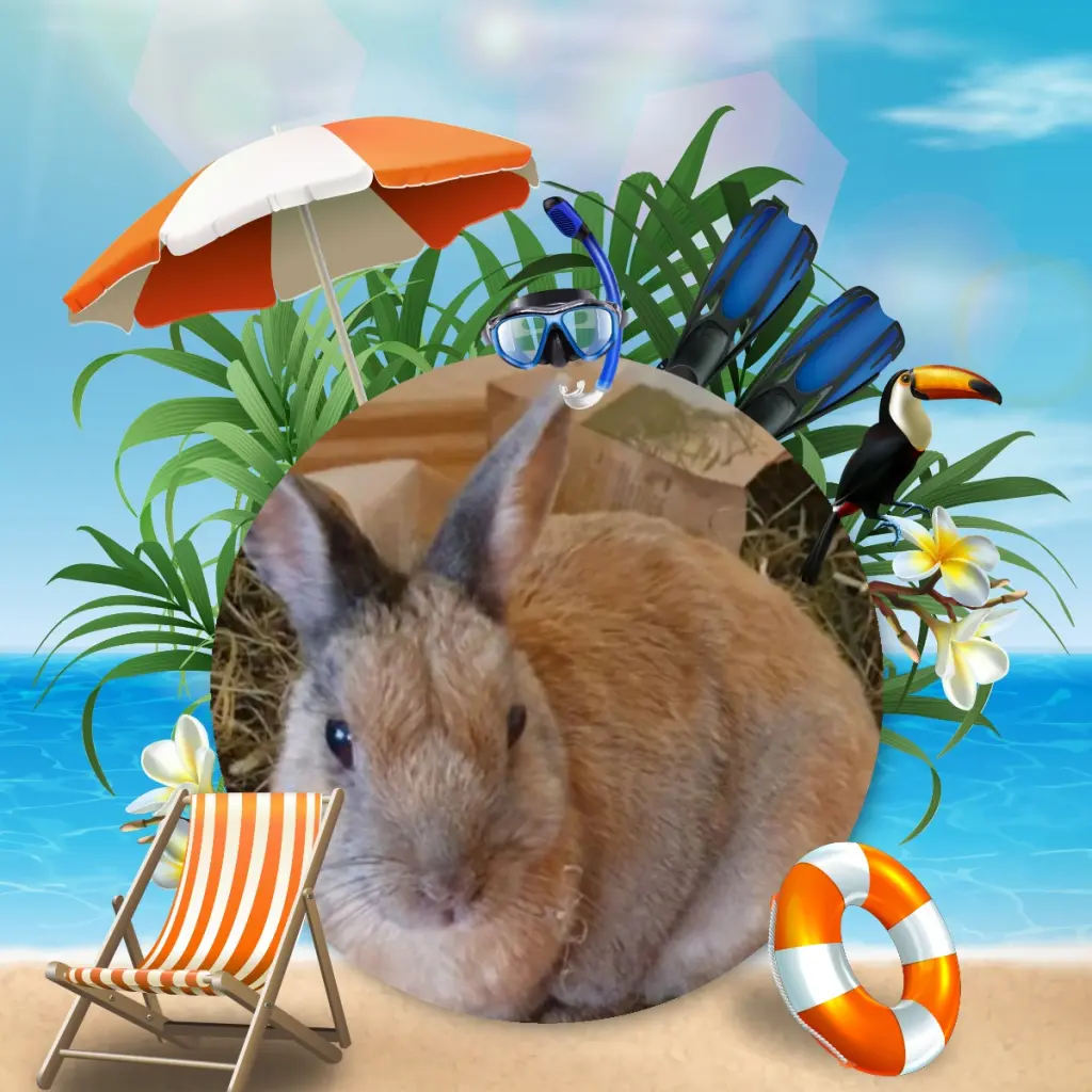 Condolence image of Post von Bunny ♥️