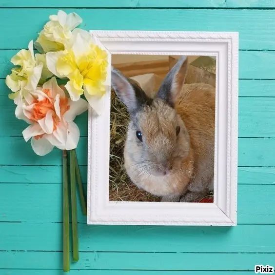 Condolence image of Tanja mit Timmy im Herzen