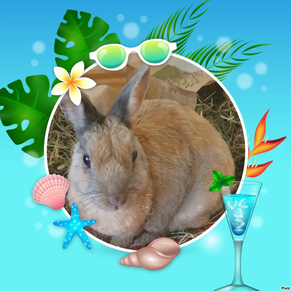 Condolence image of Tanja mit Timmy im Herzen