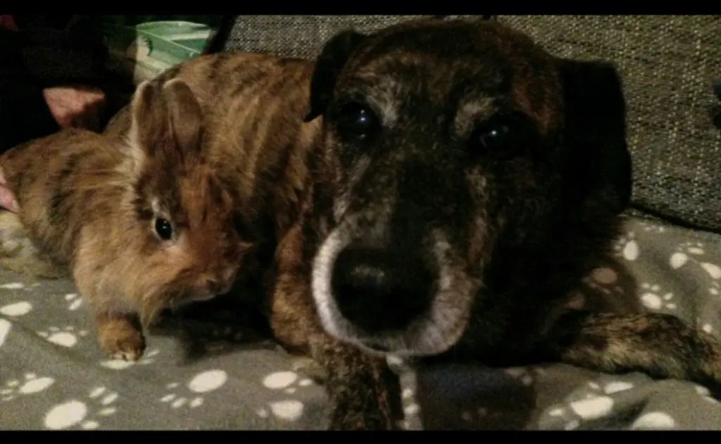 Condolence image of Gabi mit Max ❣️