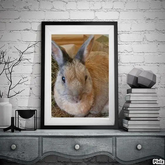 Condolence image of Tanja mit Timmy im Herzen