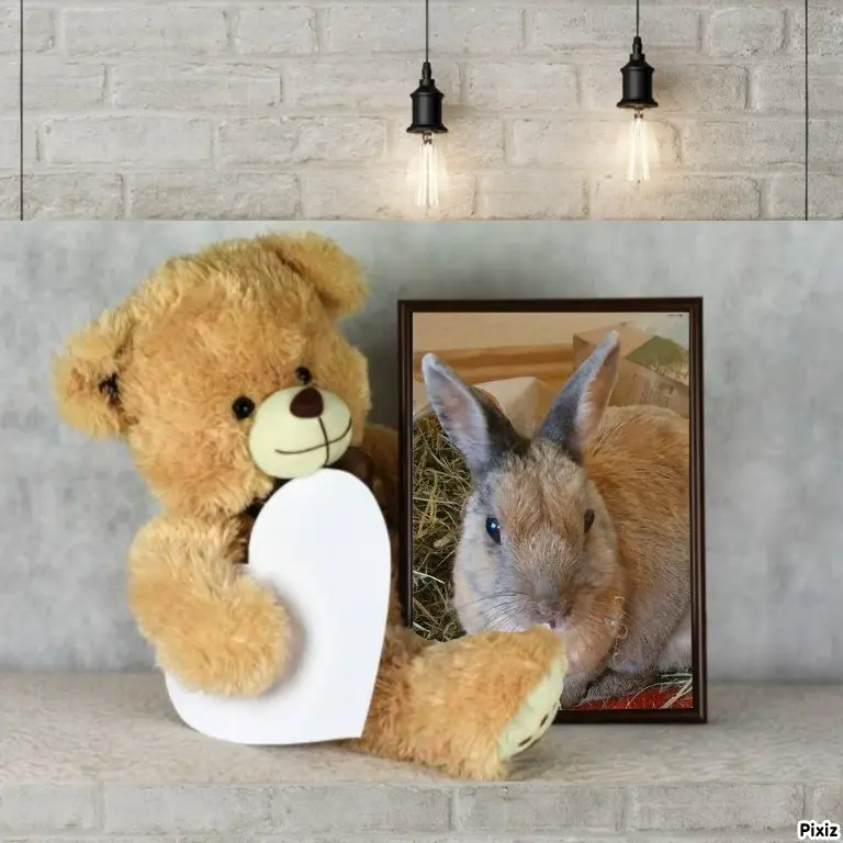 Condolence image of Tanja mit Timmy im Herzen 