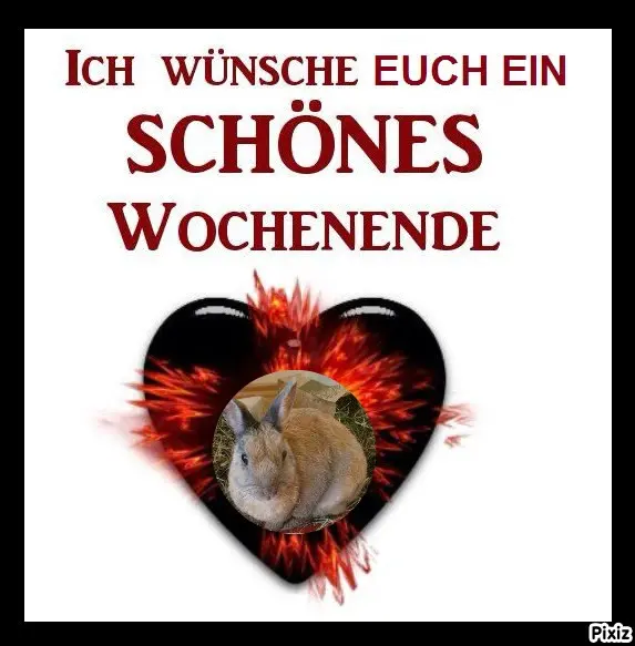 Condolence image of Tanja mit Timmy im Herzen