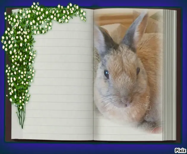 Condolence image of Tanja mit Timmy im Herzen