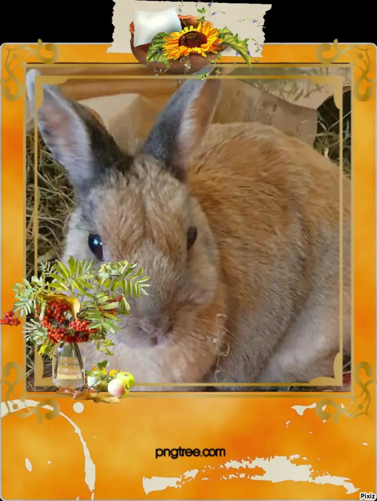 Condolence image of Tanja mit Timmy im Herzen
