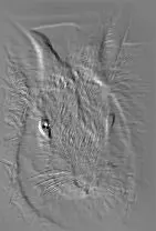 Condolence image of Elisabeth mit Marple im ♥