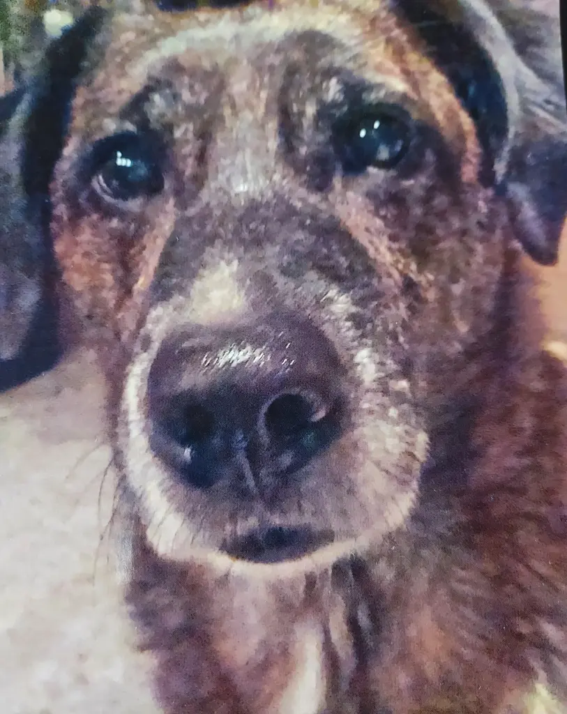 Condolence image of Gabi mit Max ❣️