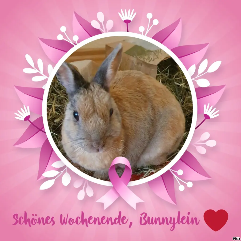 Condolence image of Tanja mit Timmy im Herzen