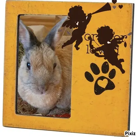 Condolence image of Tanja mit Timmy im Herzen 