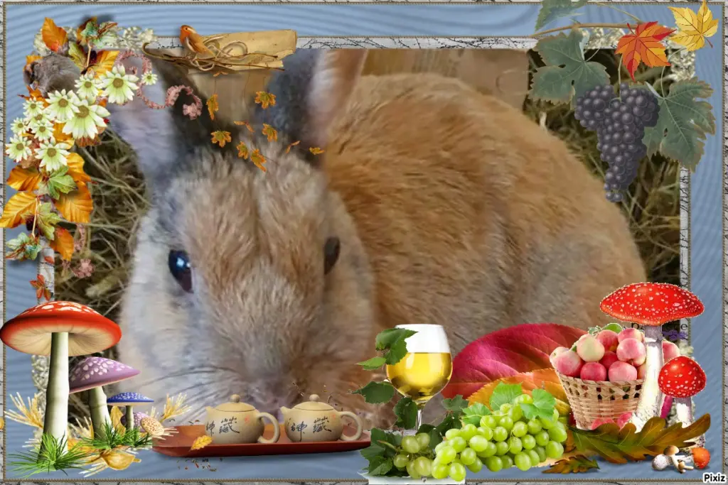 Condolence image of Tanja mit Timmy im Herzen