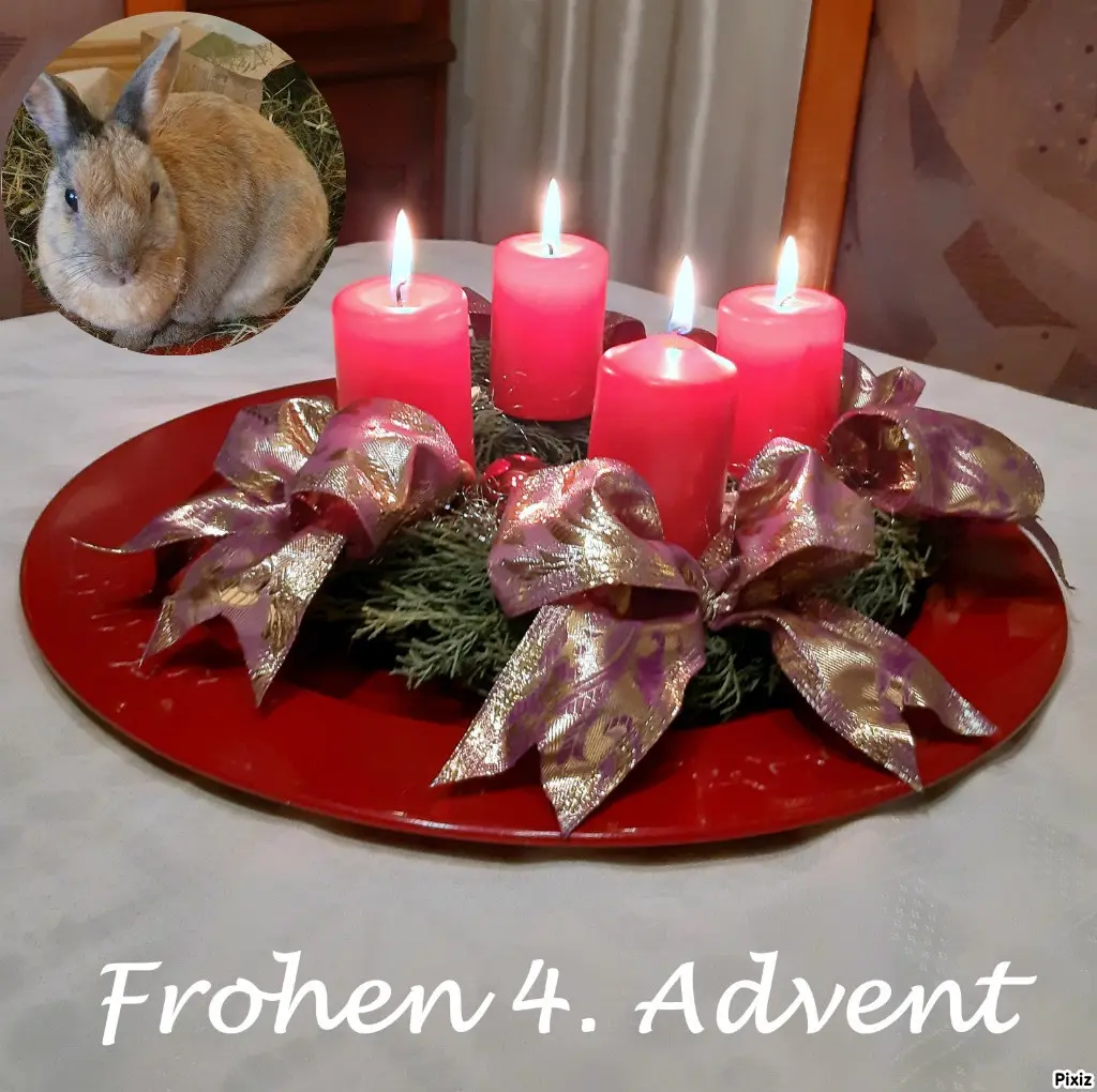 Condolence image of Tanja mit Timmy im Herzen
