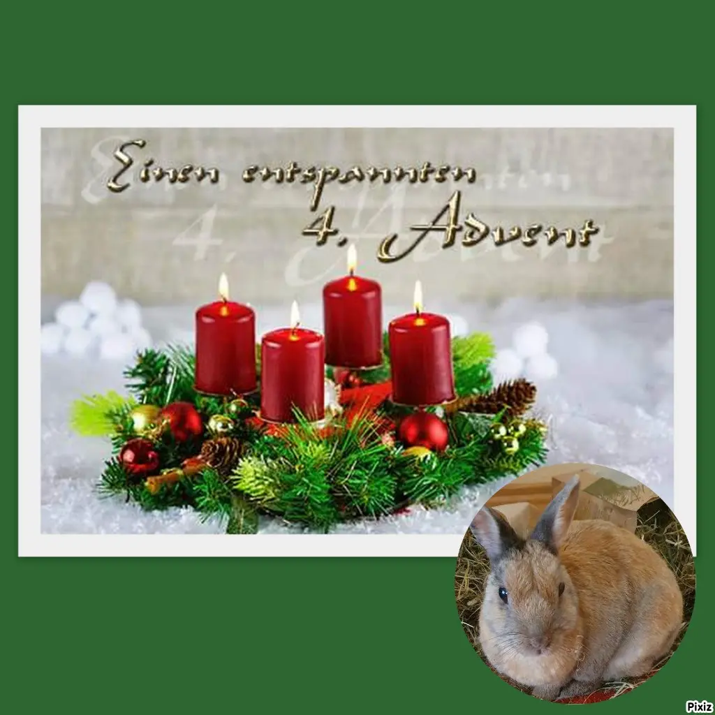 Condolence image of Tanja mit Timmy im Herzen