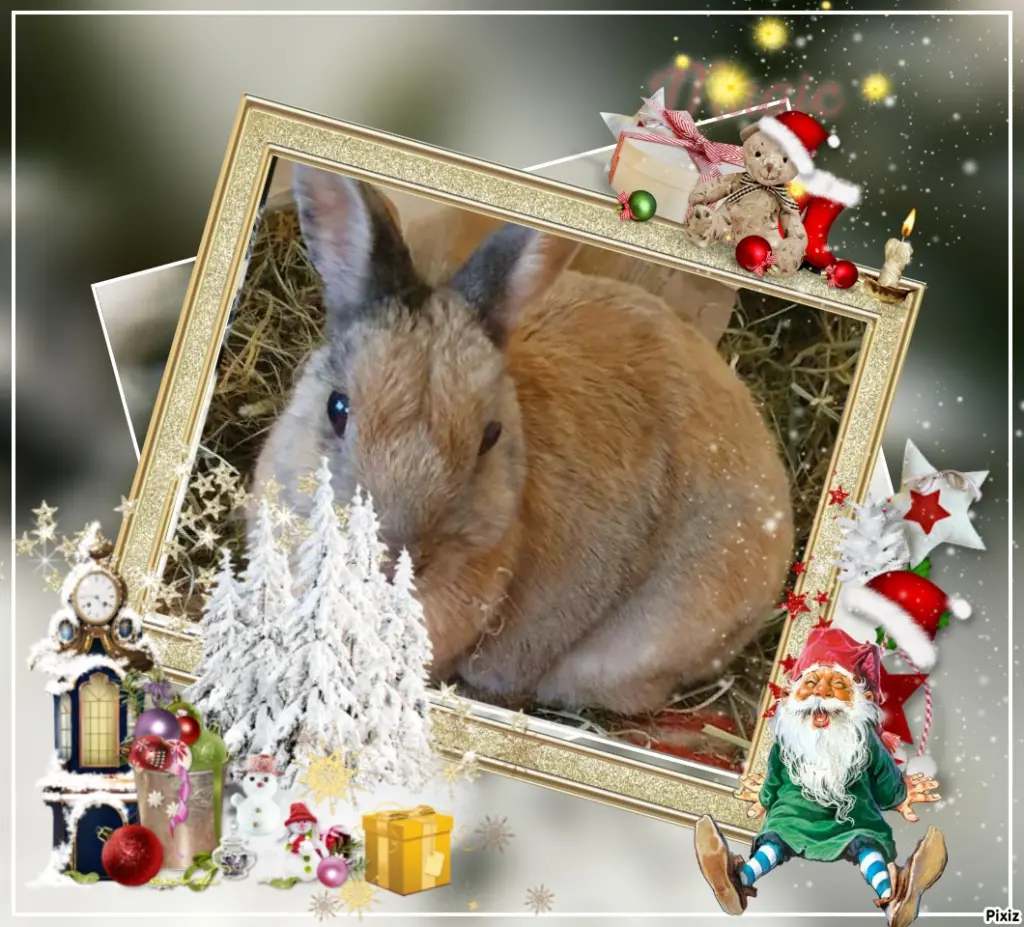 Condolence image of Tanja mit Timmy im Herzen