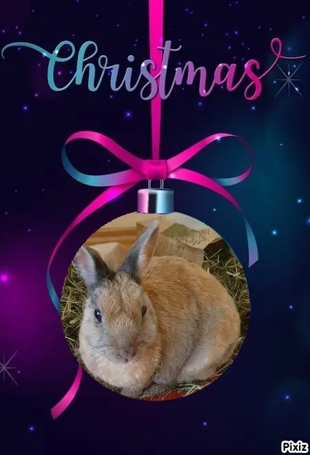 Condolence image of Post von Bunny an ihre liebe Mami Patricia ❤