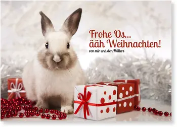 Condolence image of Katrin und Katzi im ❤️