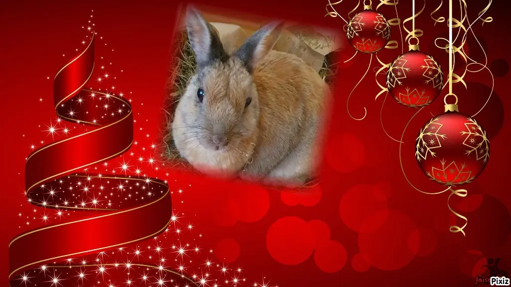 Condolence image of Tanja mit Timmy im Herzen