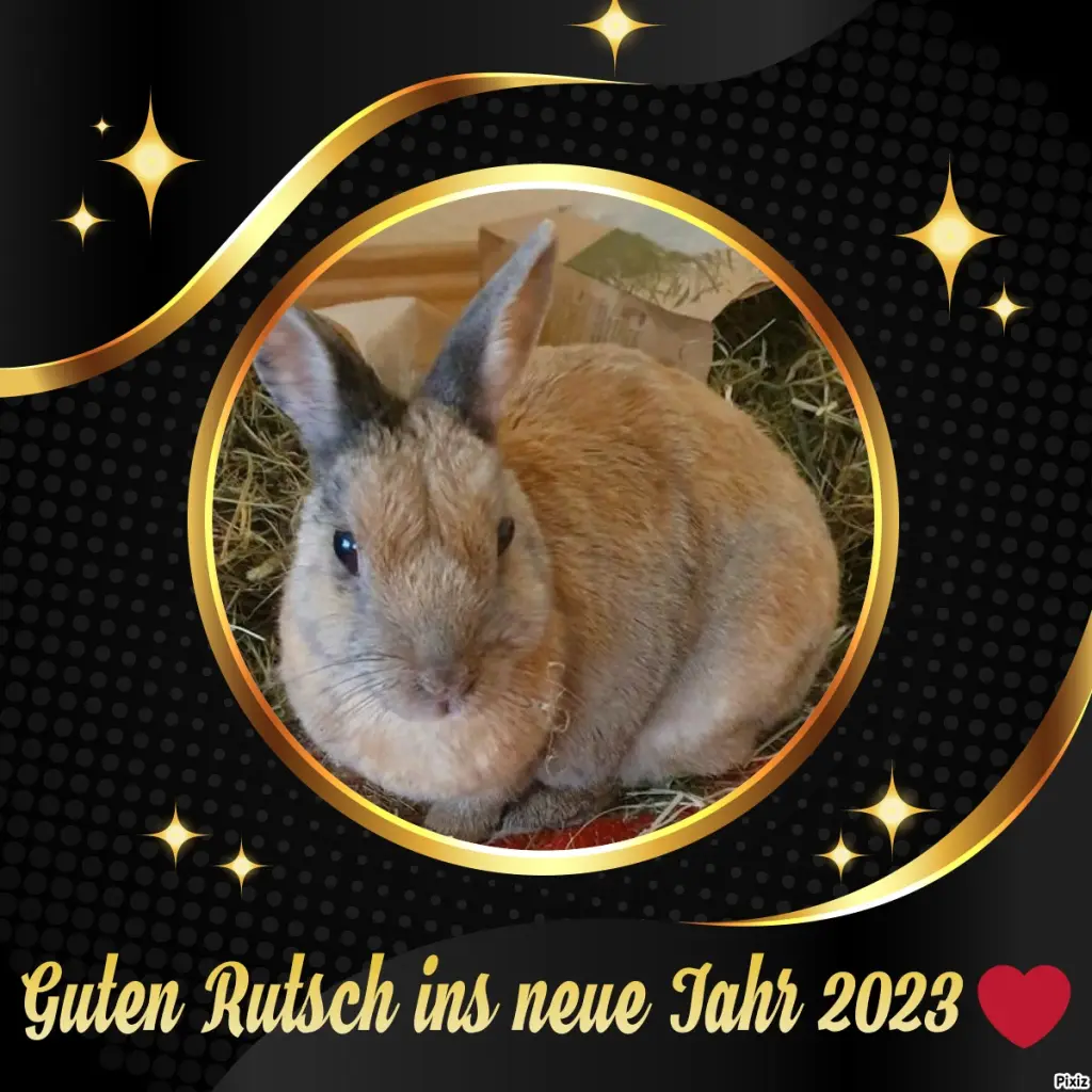 Condolence image of Tanja mit Timmy im Herzen