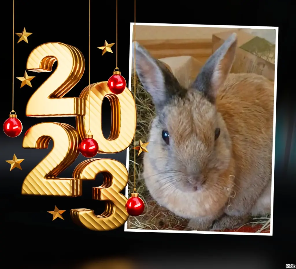 Condolence image of Neujahrsgrüße von Timmys Mutti Tanja an Sternenprinzessin Bunny ❤ und Mami Patricia ❤