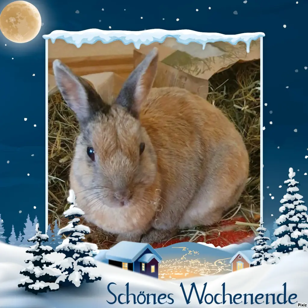 Condolence image of Tanja mit Timmy im Herzen
