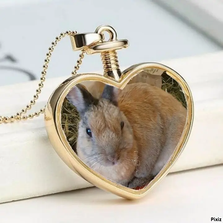 Condolence image of Tanja mit Timmy im Herzen