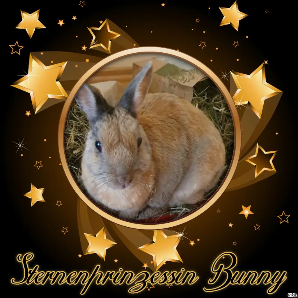 Condolence image of Tanja mit Timmy im Herzen
