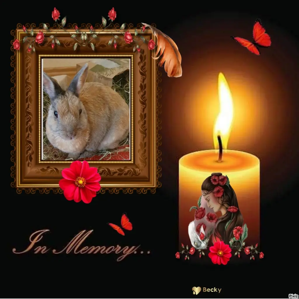 Condolence image of Tanja mit Timmy im Herzen