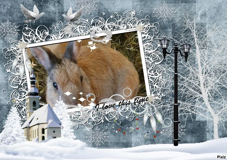 Condolence image of Tanja mit Timmy im Herzen 