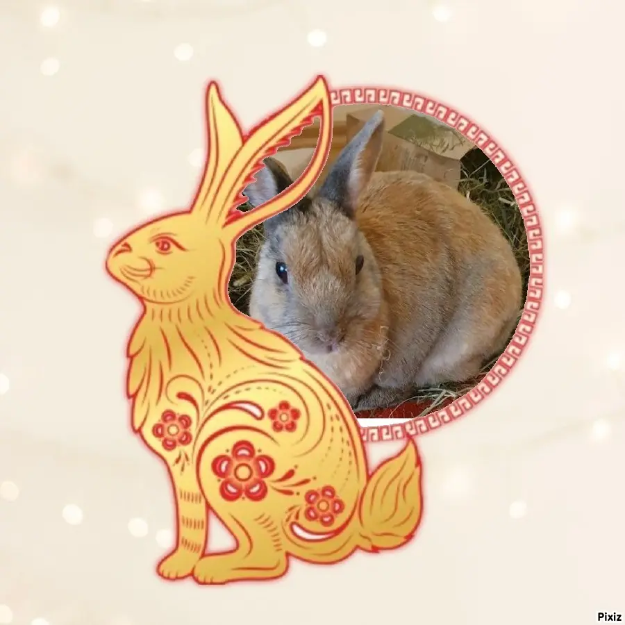 Condolence image of Tanja mit Timmy im Herzen 