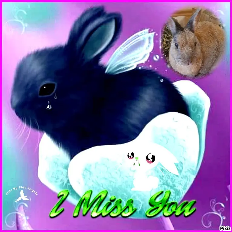 Condolence image of Gabi mit Max ❣️