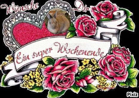 Condolence image of Tanja mit Timmy im Herzen