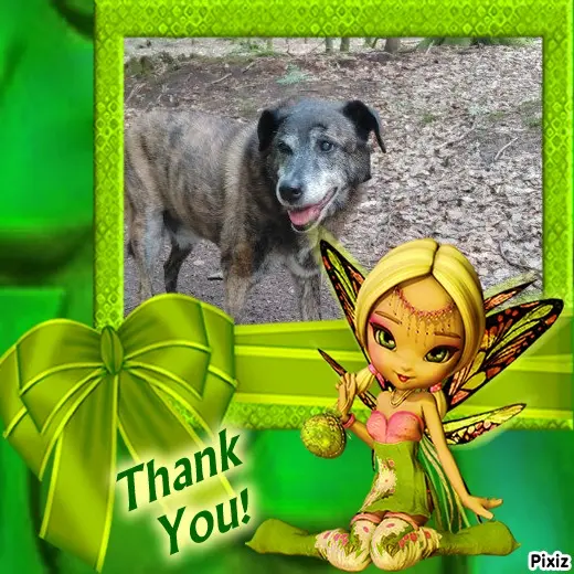 Condolence image of Gabi mit Max ❣️