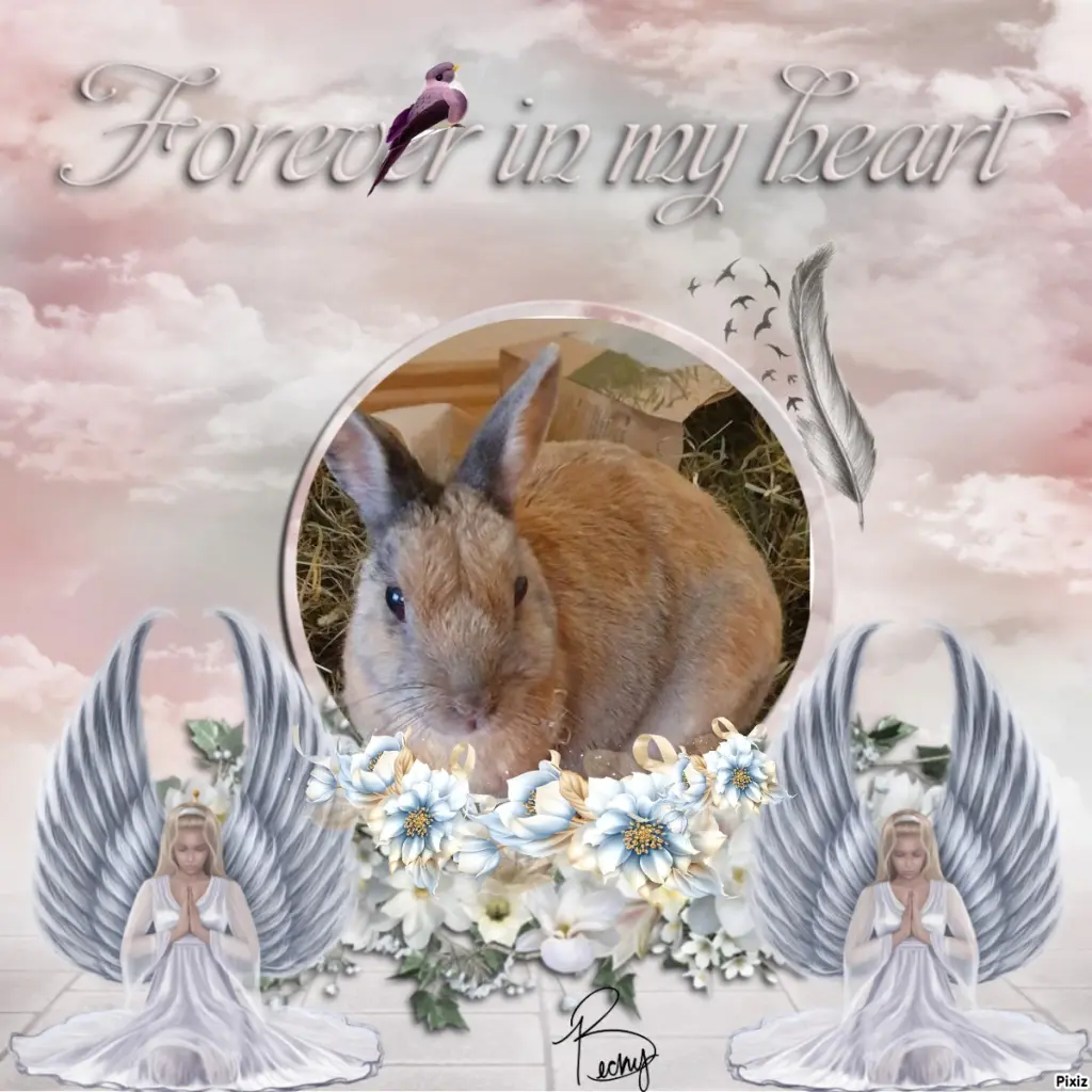 Condolence image of Gabi mit Max ❣️