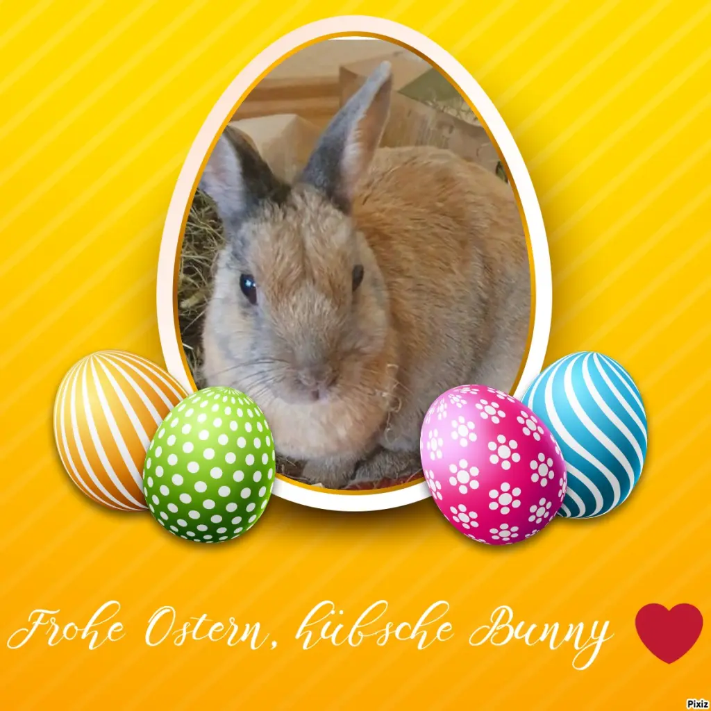 Condolence image of Tanja mit Timmy im Herzen