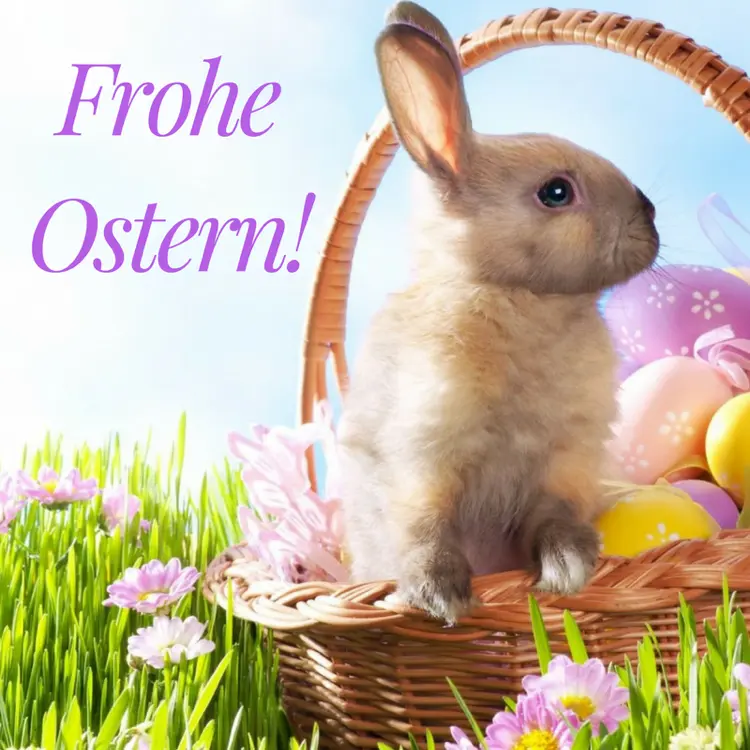 Condolence image of Katrin und Katzi im ❤️Hallo